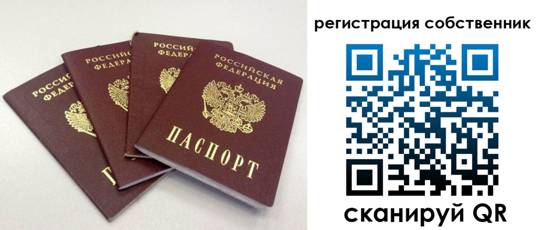 прописка для школы в Пугачёве